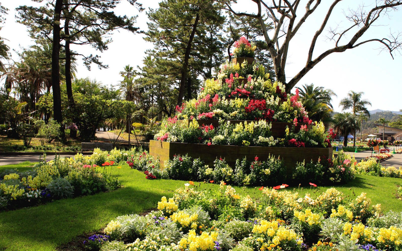 🌴 미야코 보타닉 가든 아오시마 (현립 아오시마 아열대 식물원) 이미지 1